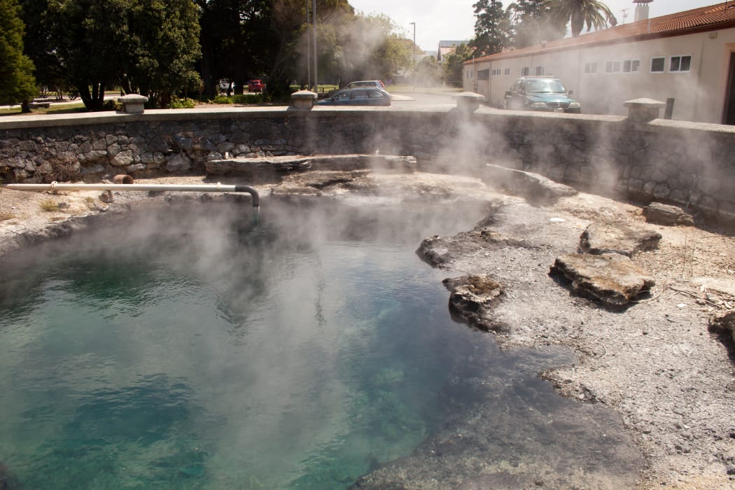 A hot pool in Government Gardens in Rotorua