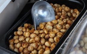 A preliminary analysis of Torere Macadamias nuts, grown in the Eastern Bay of Plenty, have shown they have promising concentrations of three key nutrients – vitamin C, vitamin B6 and selenium – more than macadamias compared in this project that were grown overseas.