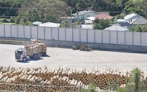 An independent review has found noise and vibrations from the upper logging yard at Eastland Port appears to be causing harm to neighbours.