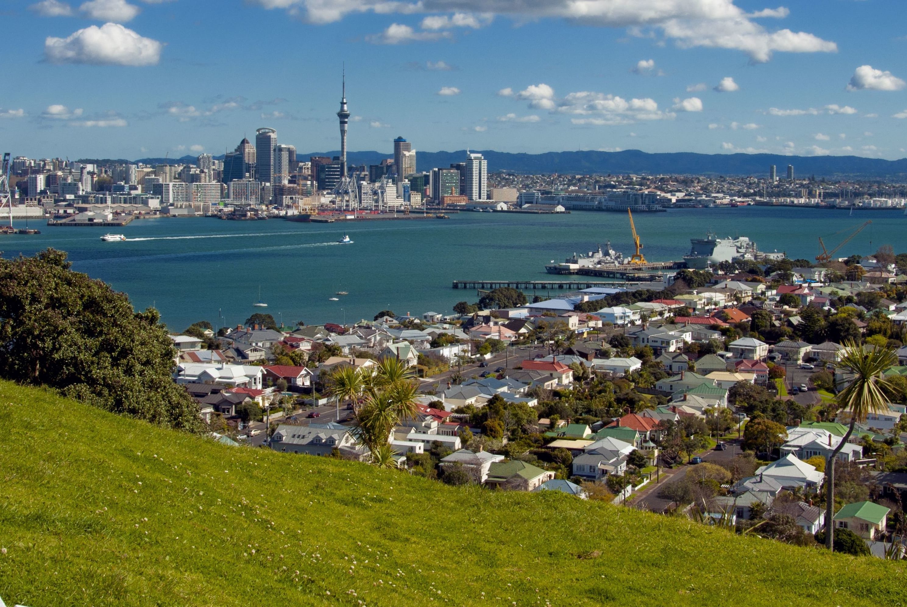 7395493 - auckland city from mt. vicotria
