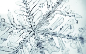 Branched star-shaped snow flake