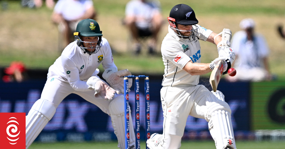 Auckland test cricket venue proposal divides opinion - Vimarsana News