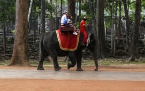 Asian elephants are often used to carry tourists to Cambodia's famous Angkor Wat landmark.