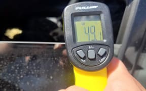 A dog has been rescued from a hot car that had an internal temperature of more than 49C.