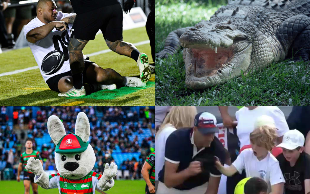 From a raging rabbit to a hat stealing CEO, there were plenty of shocks in the world of sport in 2025.