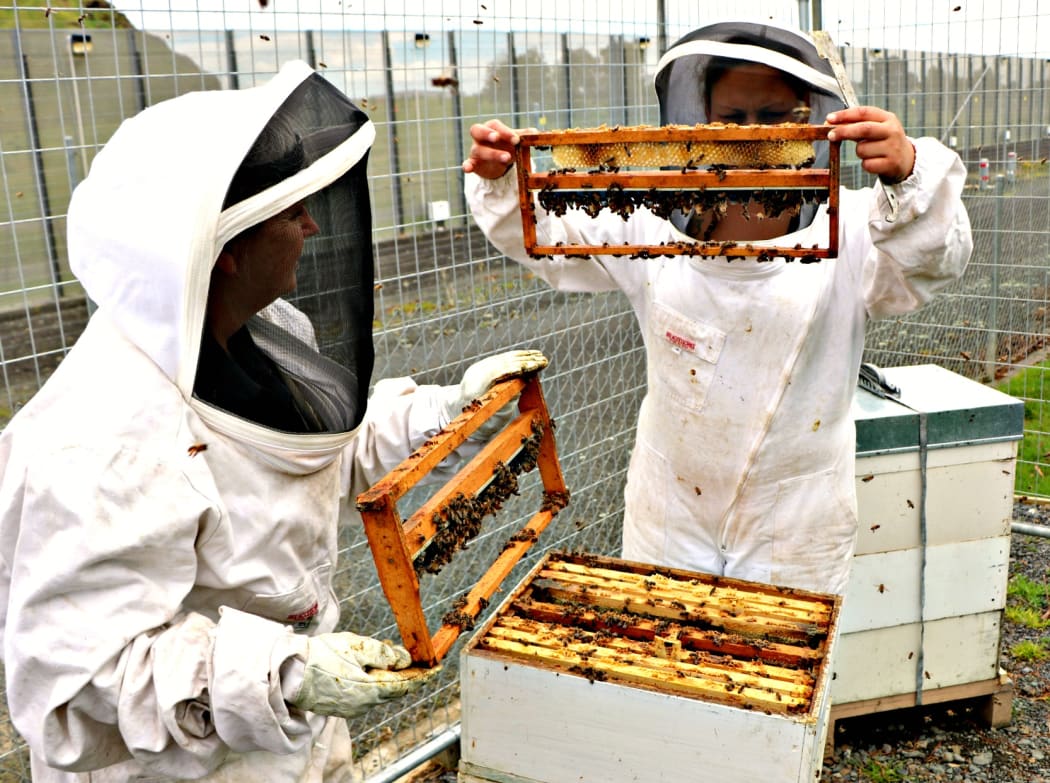 ARWCF women prisoners inspect the beehives on-site