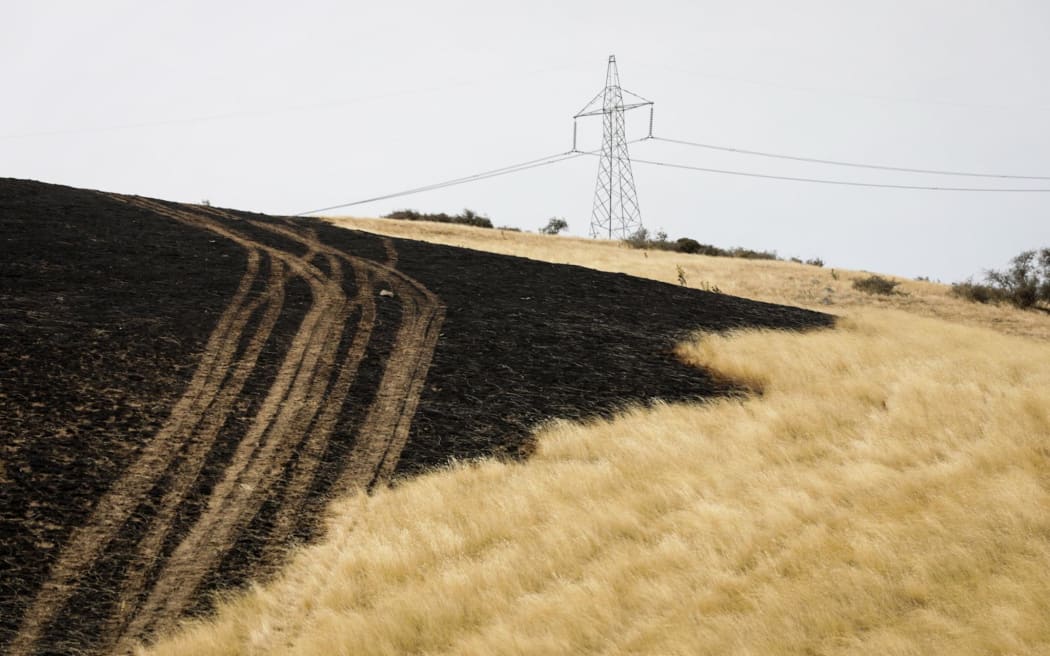A vegetation fire has burnt through land and fences on Waikari Valley Road in Canterbury. Photo taken - 19 February 2024.