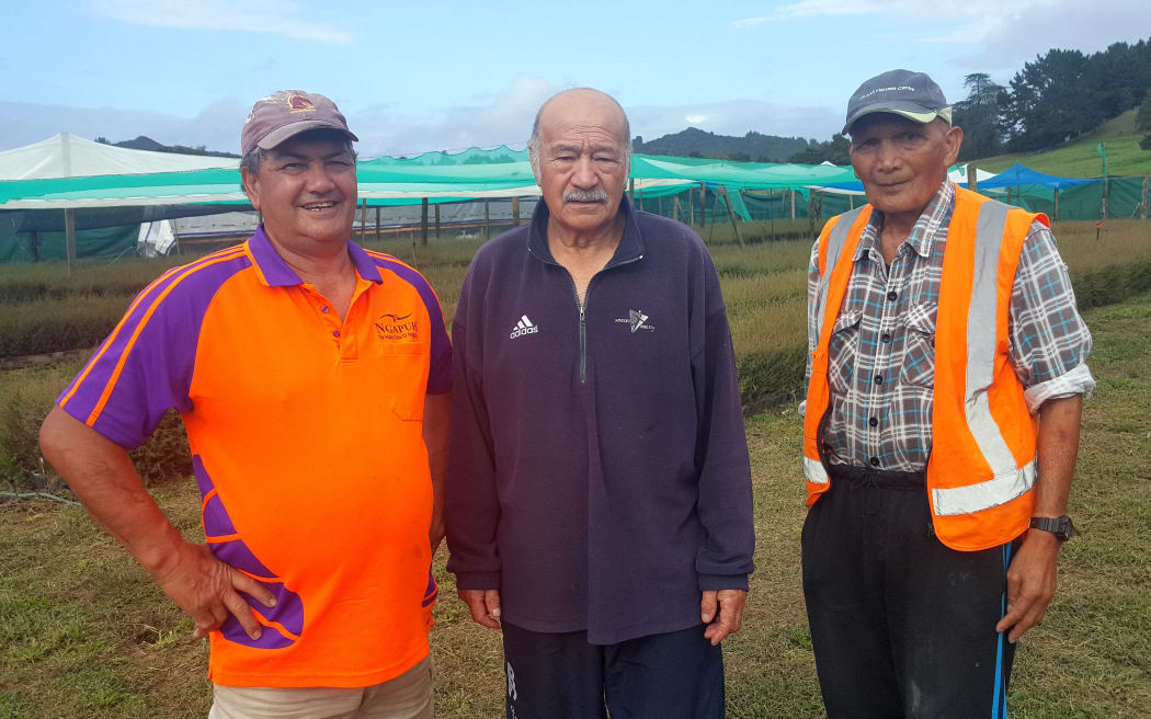 Three men stand together in front of  shade cloth covered growing area