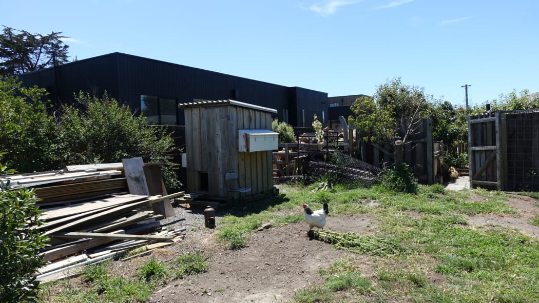 The Neals have been told to remove the chicken coop and pile of wood from their driveway.
