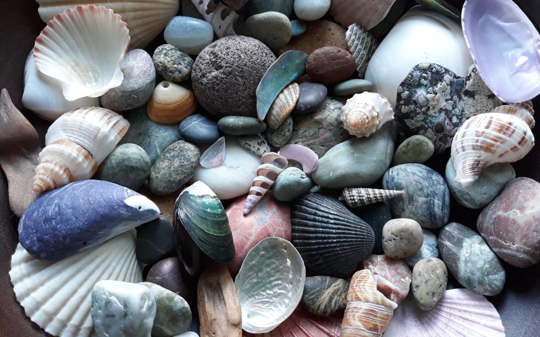 New Zealand shells and stones