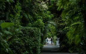 Mark van Kaathoven's Urban Jungle
