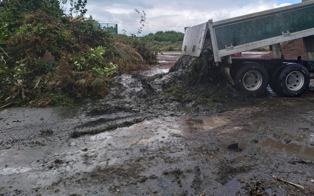 Material taken from a Napier stream, including live eels, was dumped at a Napier compost site.