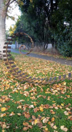 Koru by Jason Dench