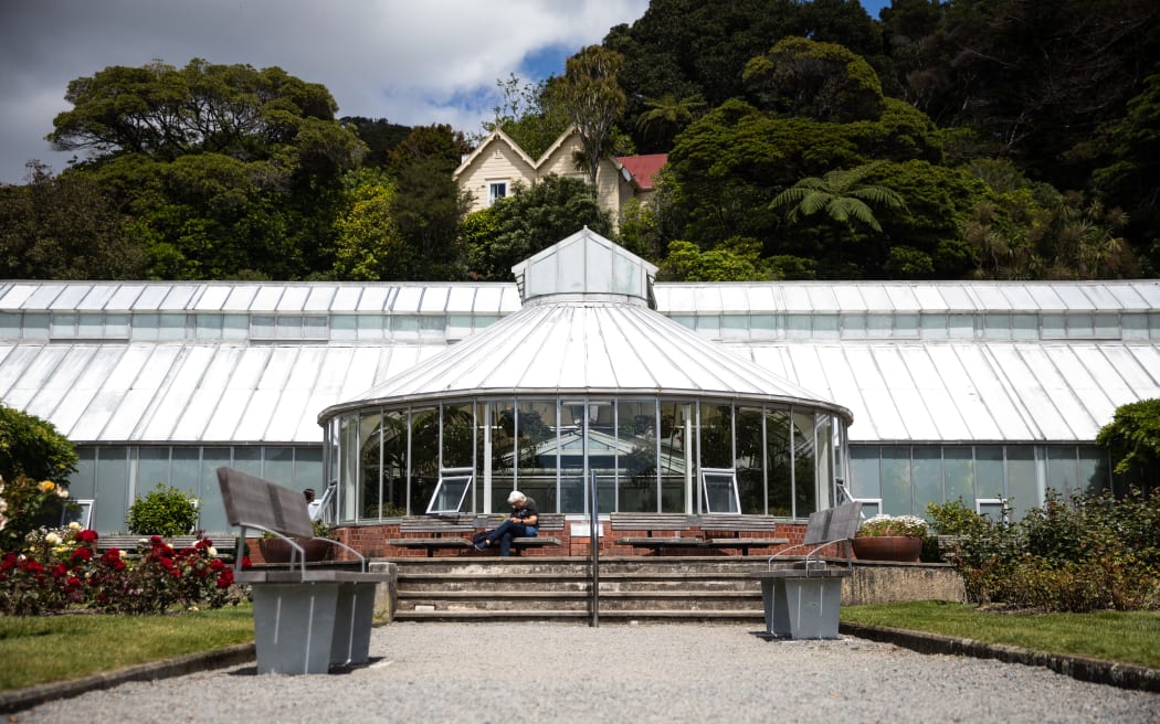Begonia House in Wellington's botanical gardens
