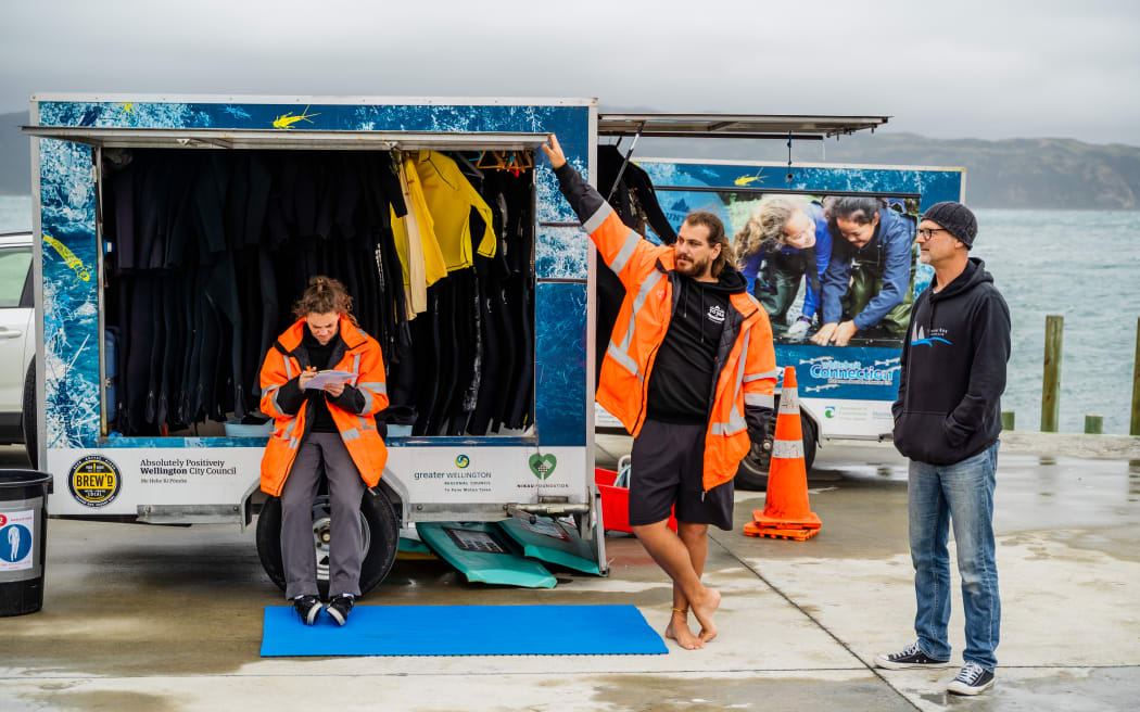 The Mountains to Sea Wellington charity provides marine education, dive lessons and environmental restoration efforts.