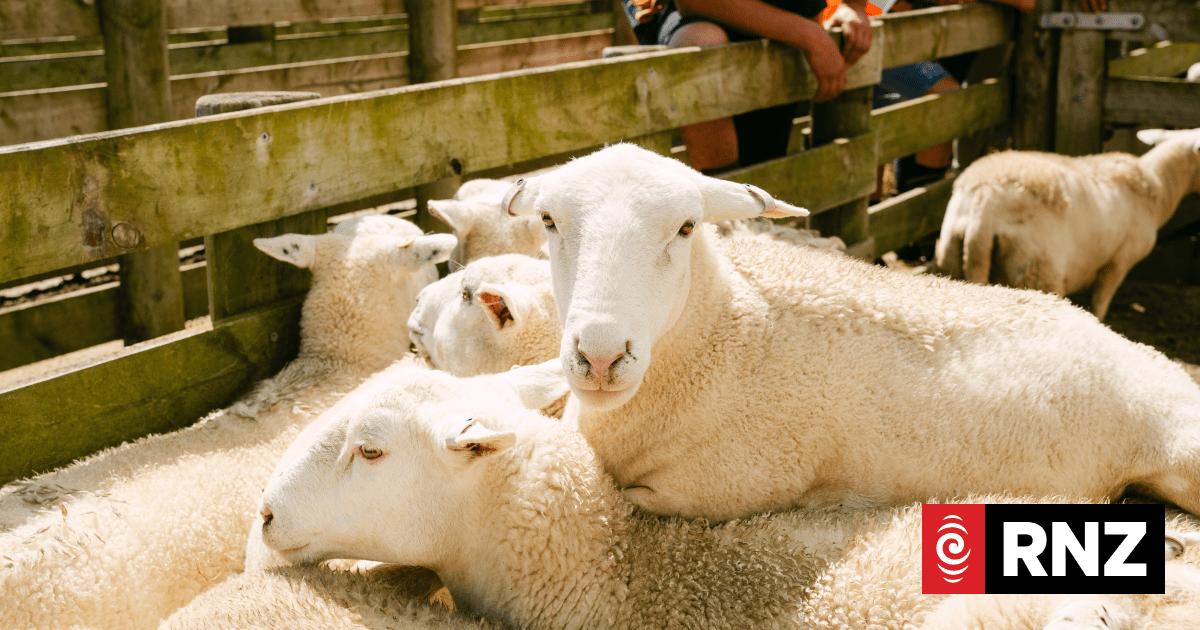 Farmers feeling positive despite cost concerns: Rabobank
