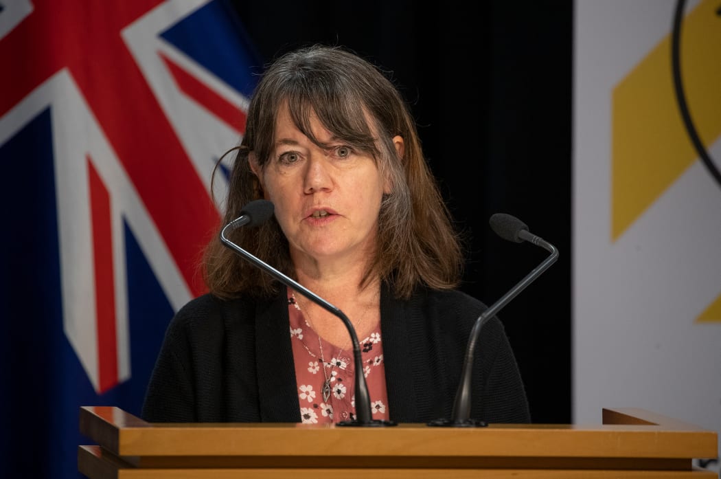 Director of Public Health Dr Caroline McElnay speaking at the briefing for a Covid-19 daily update on 17 April, 2020.