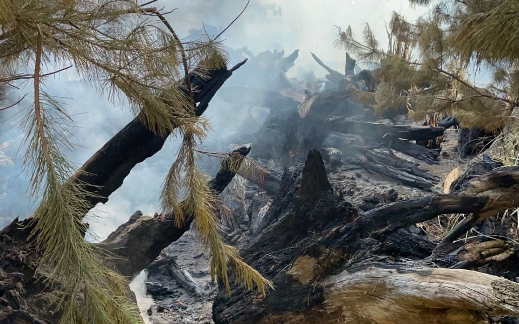 A fire near Parewānui - southeast of Bulls - burned through a hectare of ten year old standing pine before it was contained.