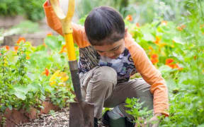 An Owaiaraka School student participating in the Garden to Table programme - one of the charities supported by the One Percent Collective.