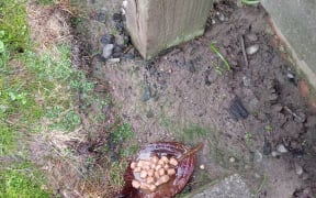 Food has been seen scattered outside and inside people's properties in Christchurch.