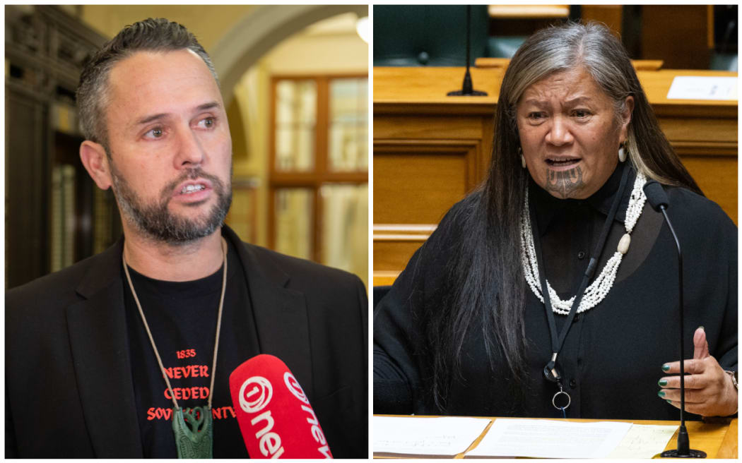 Te Pāti Māori MPs Tākuta Ferris and Mariameno Kapa-Kingi.