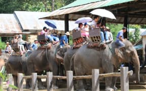 Tourists riding elephants in Thailand. A campaign has been launched to urge tourists to act responsibly on holiday, where local wildlife can be exploited for entertainment.