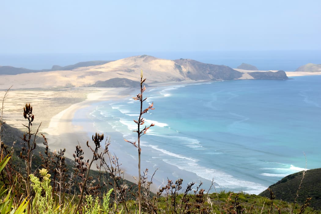 Northland's wind and sun make for major renewable energy interest.