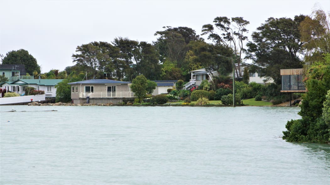 High tide in suburban Nelson.