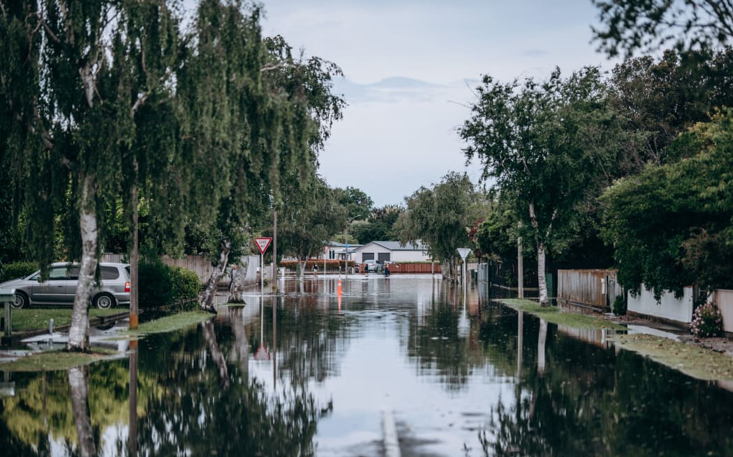 Napier flood