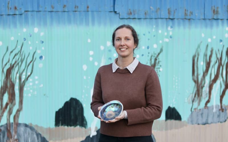 Ocean Shell Ltd owner Nina Shields would like community groups to be able to collect and sell naturally beached pāua shells.