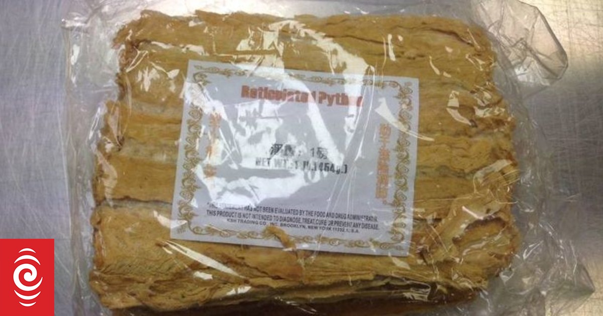 Python fillets spark alarm at airport | RNZ News