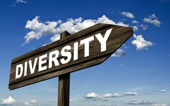 Heading down the diversity route isn't necessarily easy.