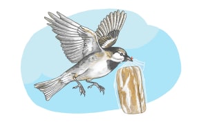 The Bread