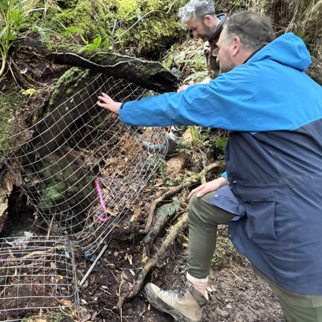 Barrett Pistoll and Bart Cox assembling cages to protect Te Pua o Te Rēinga in the Wainuiomata Water Protection area