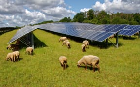 Artist’s impression of proposed Harmony solar farm for eastern Waikato.
