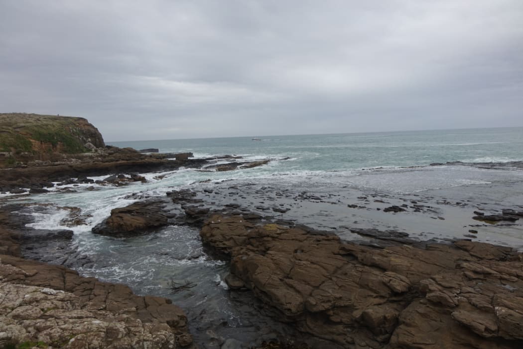 Curio Bay