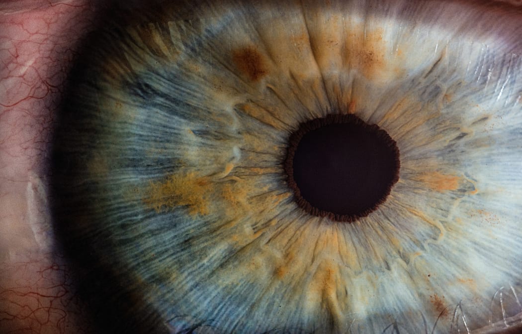 close-up of pupil