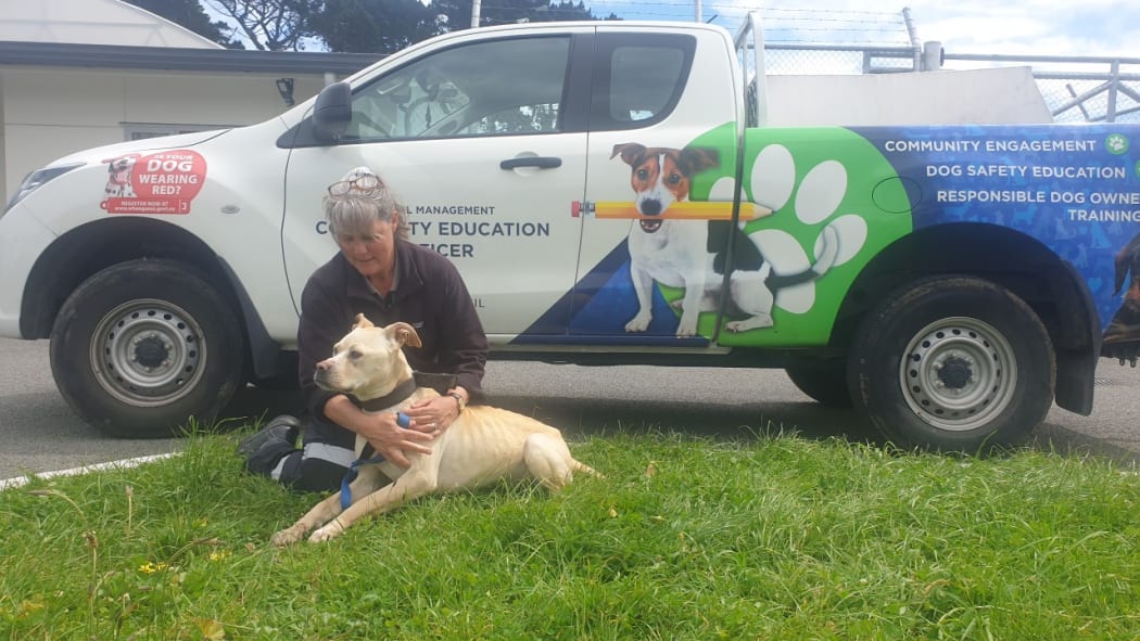 Whanganui pound keeper and education officer Marieke Waghorn with labrador-cross "Skinny Winnie" which was found tied to a fence without food or water