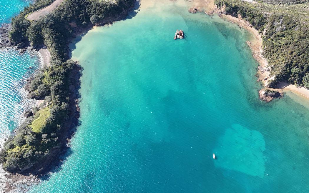 The caulerpa suction dredge in action in Omākiwi Cove in the Bay of Islands. The clear patch at bottom right has been cleared of the invasive seaweed.