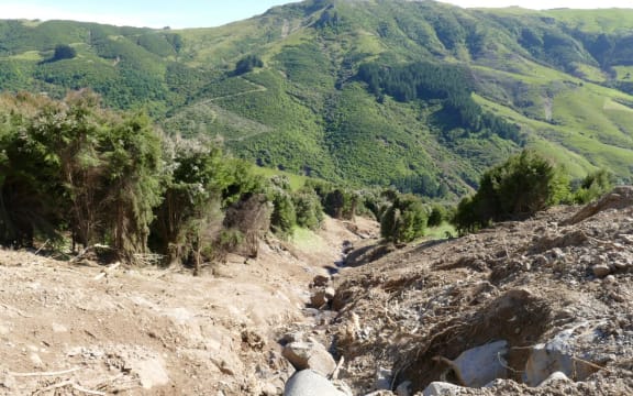A slip from the upper valley in Goughs Bay down to the stream