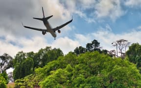 Airplane landing behind trees.