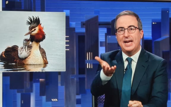 A shot from US comedian John Oliver's segment on New Zealand's Bird of the Year.