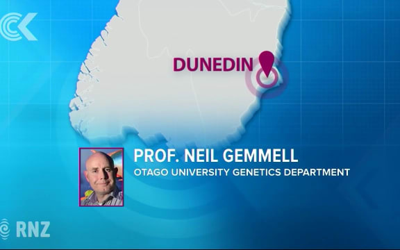 NZ scientist to discover what lies within Loch Ness