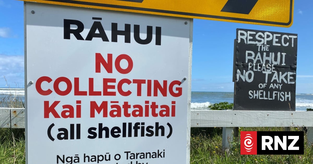 Lost species, missing seaweed, dead eels: 40 years on the Taranaki ...