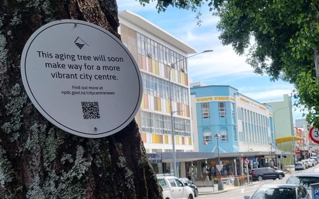 Signs have begun appearing on alder trees in the New Plymouth CBD marking them for the chop. The council is removing about a third of 60 alder trees in the first phase of a $10.3 million inner city makeover. The trees have been blamed for creating a slip hazard and damaging infrastructure.