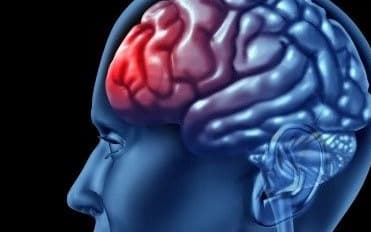 Brain profile showing pre-frontal cortex.