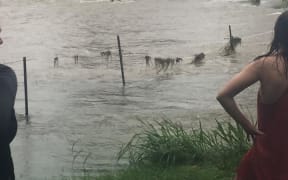Flooding in Coffs Harbour, NSW