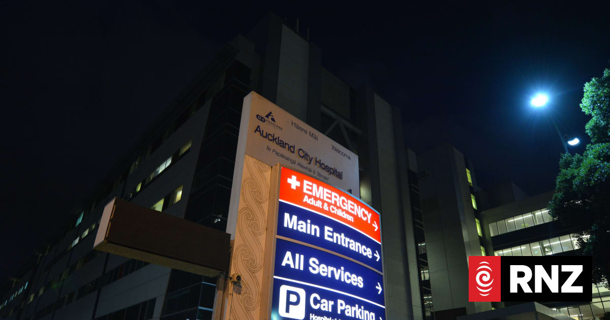 Auckland Hospital's flea-infested carpet might not be replaced for decades