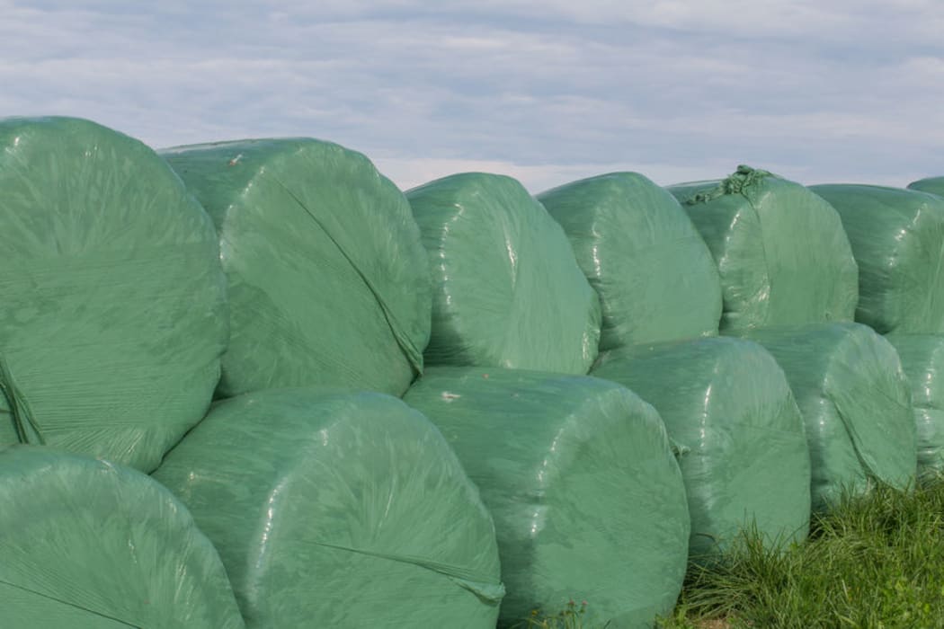 Bales wrapped in plastic