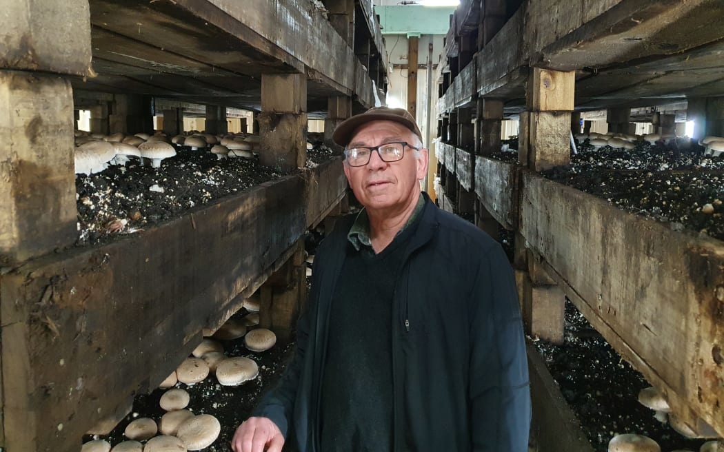 Clive Thompson of Parkvale Mushrooms